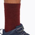 Icebreaker men's trekking socks Hike+ Medium Crew port/blaze/bittersweet 4