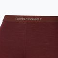 Women's thermal pants icebreaker 200 Oasis brown IB1043830641 9