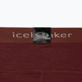 Women's thermal pants icebreaker 200 Oasis brown IB1043830641 10