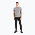 Men's Icebreaker Sphere II SS trekking shirt grey IB0A56C60161 2