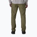Men's trousers Patagonia Quandary basin green 3