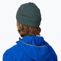 Patagonia Brodeo winter beanie fitz roy icon/nouveau green 3