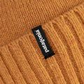 Patagonia Brodeo Beanie dried mango trekking cap 4