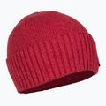 Patagonia Brodeo Beanie fun hogs armadillo/touring red trekking cap