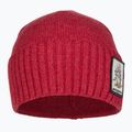 Patagonia Brodeo Beanie fun hogs armadillo/touring red trekking cap 2