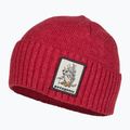 Patagonia Brodeo Beanie fun hogs armadillo/touring red trekking cap 3