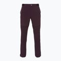 Men's Patagonia Point Peak Trail-Regular obsidian plum trekking trousers