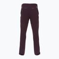 Men's Patagonia Point Peak Trail-Regular obsidian plum trekking trousers 2