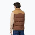 Men's vest Patagonia Reversible Bivy Down moose brown 2