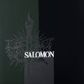 Men's snowboard Salomon Assassin PRO black L47017200 6