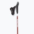Salomon Escape Sport cross-country ski poles 2