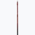 Salomon Escape Sport cross-country ski poles 3