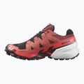 Men's running shoes Salomon Spikecross 6 GTX cow hide/black/neon flame 9