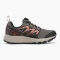 Women's running shoes Salomon Wander GTX plum kitten/black/pea 2