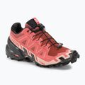 Salomon Speedcross 6 women's running shoes cow hide/black/english rose