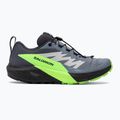 Salomon Sense Ride 5 GTX men's running shoes flint stone/black/green gecko 2