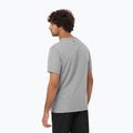 Men's Salomon Logo Performance T-shirt heather grey 2