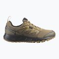 Men's running shoes Salomon Wander GTX anthro/center/athmos 9