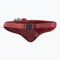 Salomon Active Belt 3D Bottle high risk red/red dahlia running belt 2