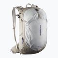 Salomon Trailblazer 30 l khaki/glacier gray hiking backpack