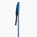 Salomon Polar Pro race ski poles blue 2