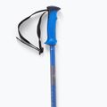Salomon Polar Pro race ski poles blue 4