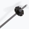 Salomon Polar ski poles black 5