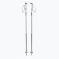 Salomon Polar grey violet ski poles