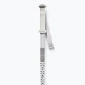 Salomon Polar grey violet ski poles 2