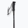 Salomon Polar Access ski poles black 4