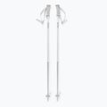 Salomon Polar Access ski poles white