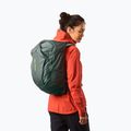 Salomon Trailblazer 30 l hiking backpack urban chic/green milieu 5