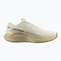 Men's running shoes Salomon Thundercross asphalt/sharkskin/spray 8