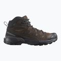 Men's trekking boots Salomon X ULTRA 360 LTR MID GTX dark earth/delicioso/ castlerock 9