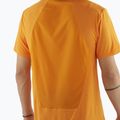 Men's T-shirt Salomon Outline Tee turmeric 3