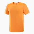 Men's T-shirt Salomon Outline Tee turmeric 4