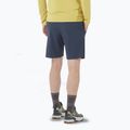Men's shorts Salomon Wayfarer Ease blue nights 2