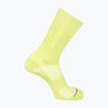 Salomon 365 Crew dark citron socks