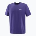 Men's T-shirt Salomon Logo RX Tee astral 4