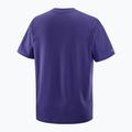 Men's T-shirt Salomon Logo RX Tee astral 5