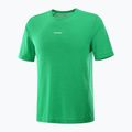 Men's Salomon SHKout Core parakeet running shirt 4