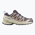 Women's running shoes Salomon XA Pro 3D V9 GTX nine iron/oxford tan