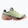Women's running shoes Salomon Speedcross 6 GTX lime cream/mahogany rose/black 2