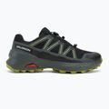 Men's running shoes Salomon Speedcross Peak GTX black/urban chic/dark citron 2