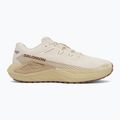 Men's running shoes Salomon Drx Defy GRVL vanilla ice/green haze/white pepper 2