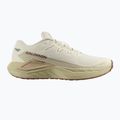 Men's running shoes Salomon Drx Defy GRVL vanilla ice/green haze/white pepper 8