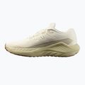 Men's running shoes Salomon Drx Defy GRVL vanilla ice/green haze/white pepper 9