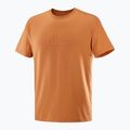 Men's T-shirt Salomon Big Logo Tee sierra 4