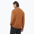Men's Salomon Logo Crewneck sweatshirt sierra 2
