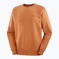 Men's Salomon Logo Crewneck sweatshirt sierra 5